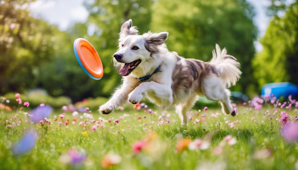 engaging activities for dogs